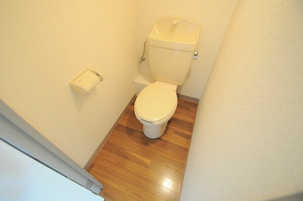 その他(トイレスペースもフローリング仕様)