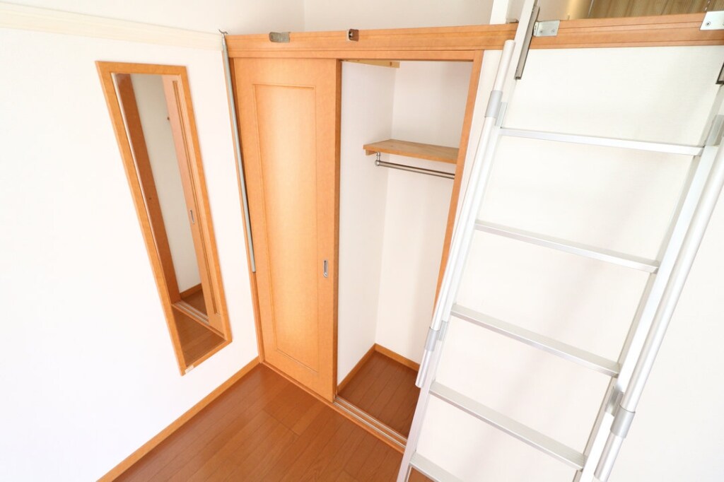 物件内観写真13　(大型クローゼットにより女性の方でも収納が安心)