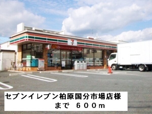 その他(セブンイレブン柏原国分市場店様まで600m)