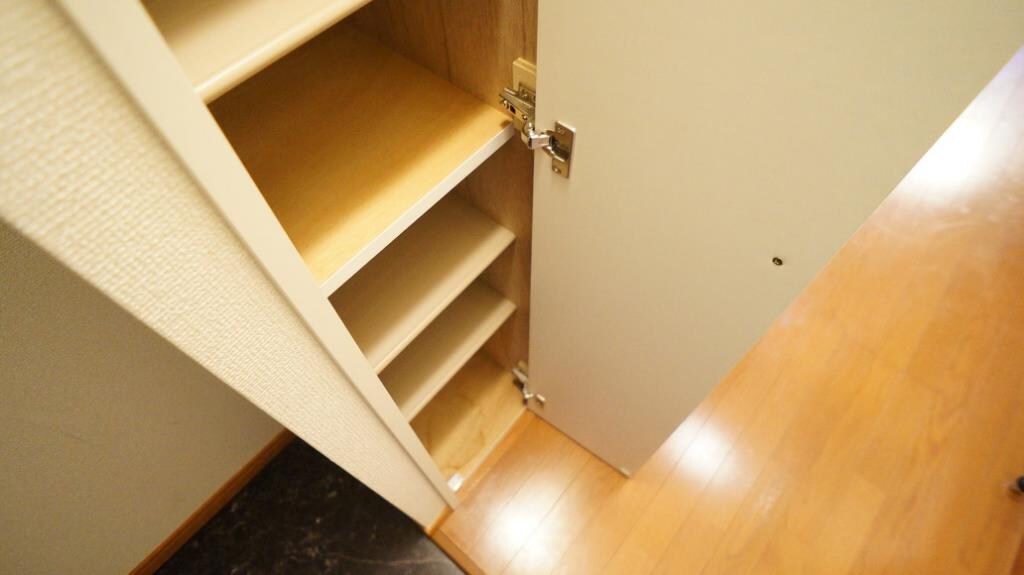 物件内観写真7　(大きな靴箱で収納バッチリ！)