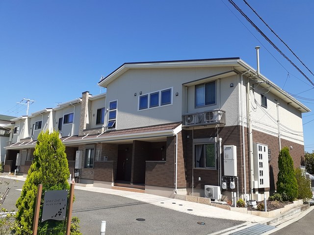 グレイス　リーフ　葵