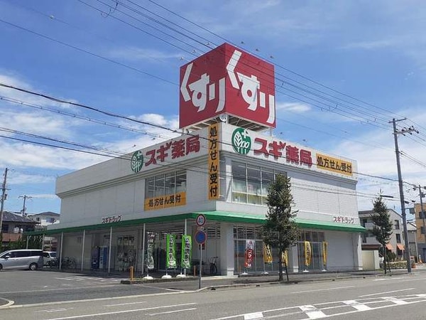その他(スギ薬局西宮中前田店様まで350m)