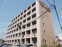 サニーキャンプ　今池