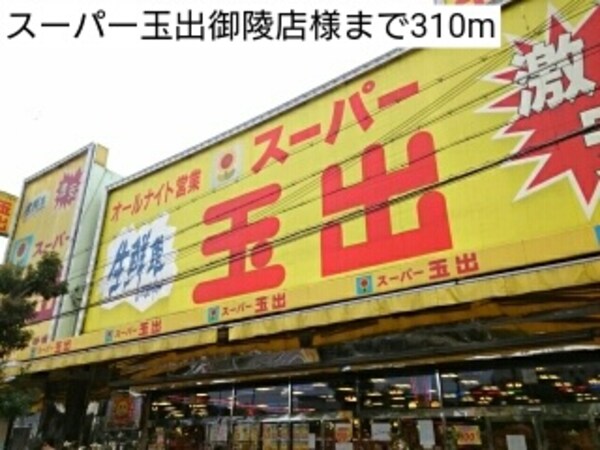 その他(スーパー玉出御陵店様まで310m)