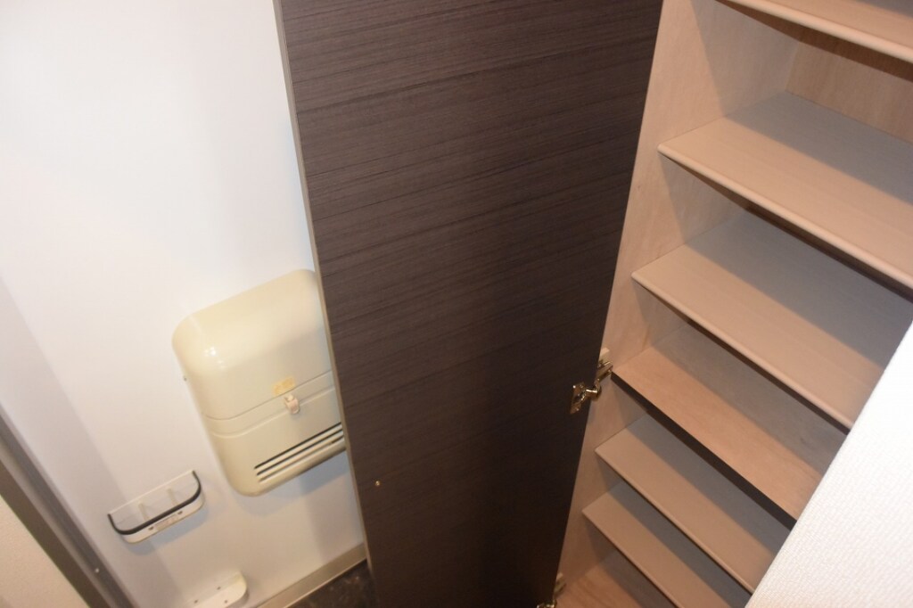 物件内観写真6　(シューズボックス付きです。)