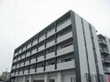 ｻｸｼｰﾄﾞ胤
