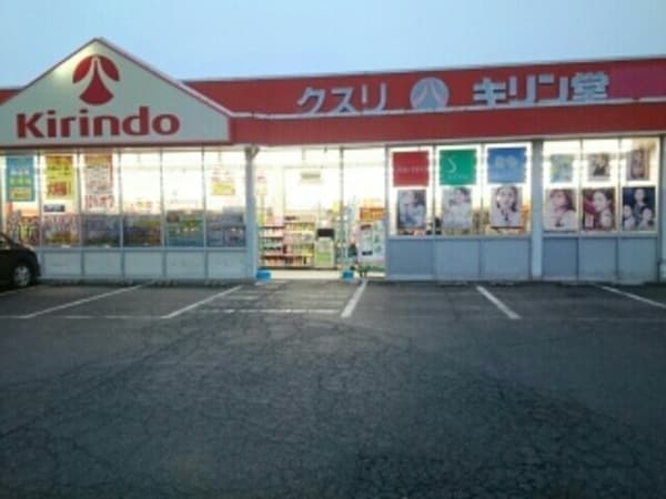 その他(キリン堂羽曳野店様まで730m)