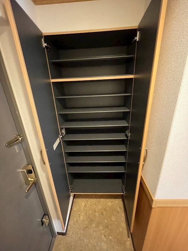 玄関(同タイプ参考写真)