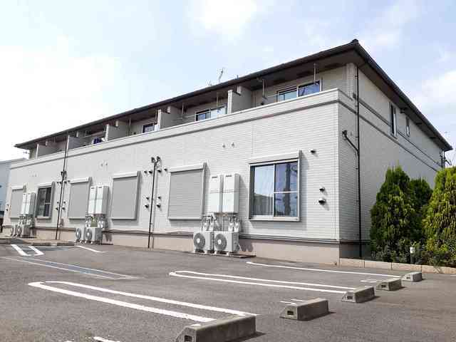 クローバー　コリーヌ
