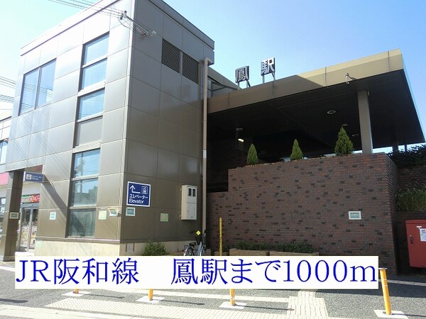 その他(ＪＲ阪和線鳳駅まで1000m)