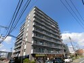 グレーシア大西