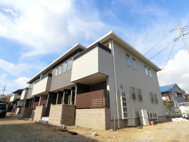 彩