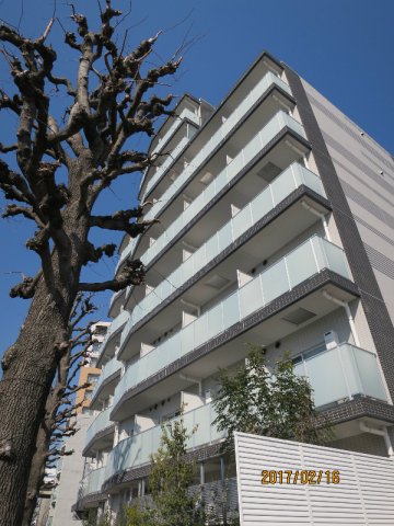 HY’s Salire用賀