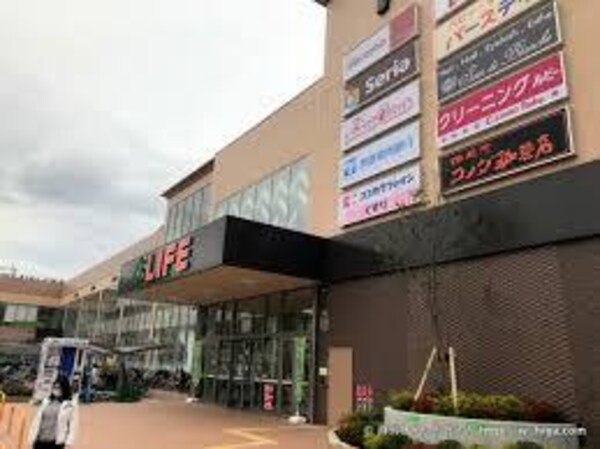 周辺環境(ライフ 八戸ノ里店 245m)