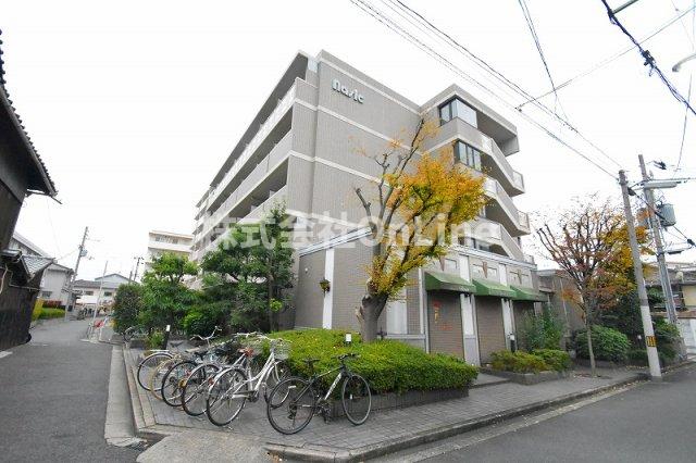 カレッジインエバグリーン