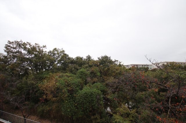 物件内観写真29　