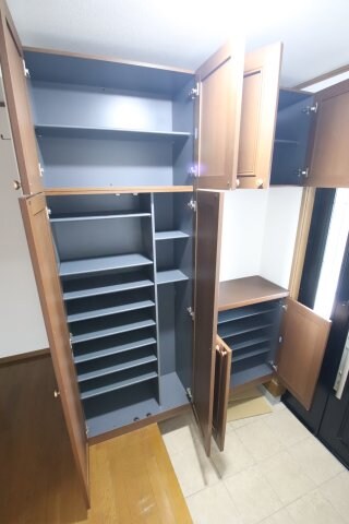 物件内観写真5　(シューズボックス)