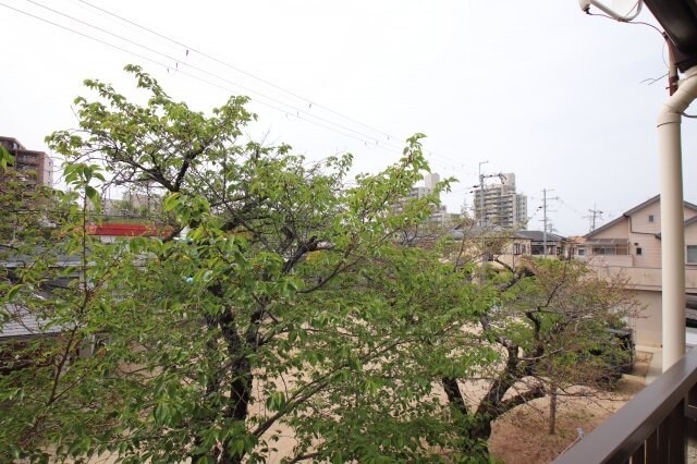 物件内観写真29　