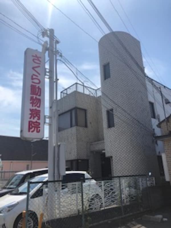 周辺環境(さくら動物病院 733m)
