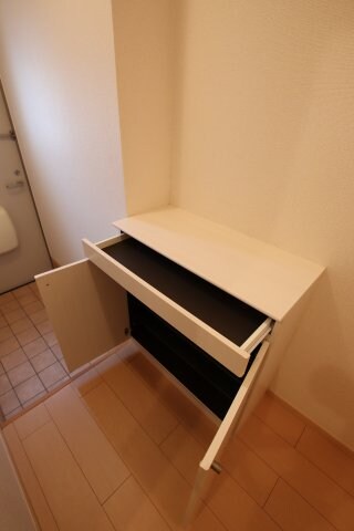 物件内観写真7　(シューズボックス)
