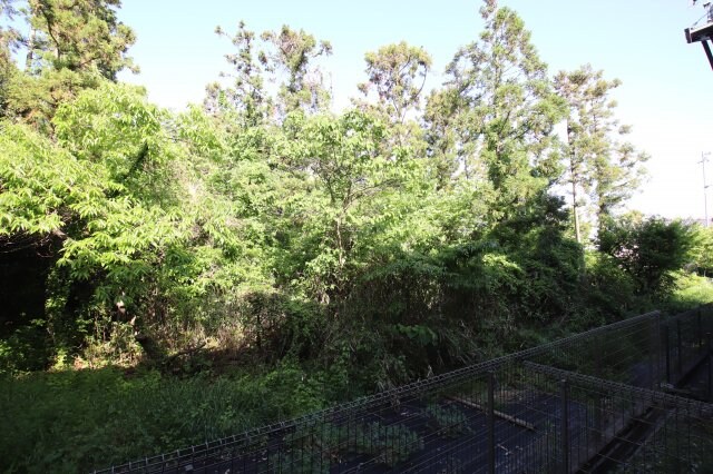 物件内観写真29　