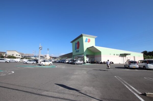 周辺環境(ディオ和泉店 1291m)