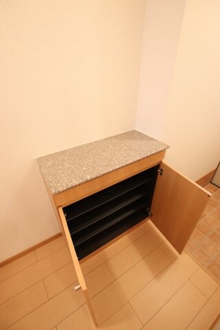 物件内観写真7　(シューズボックス)