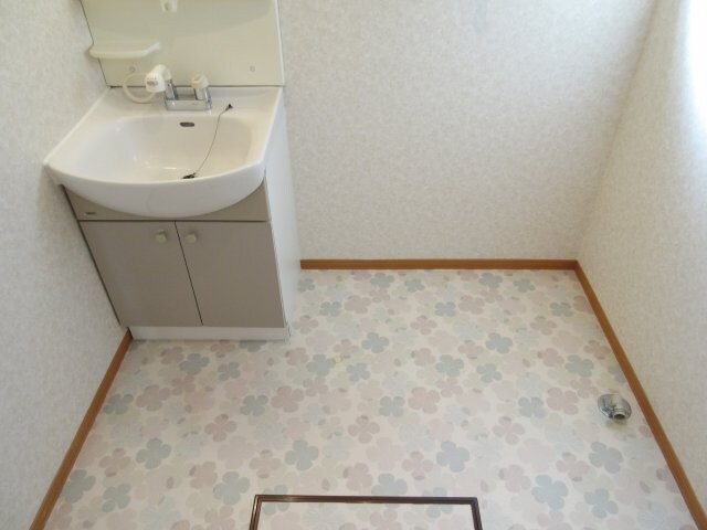 物件内観写真10　(シャンプドレッサーがあれば朝も慌てることなし！)