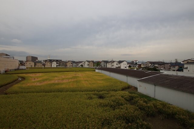 物件内観写真29　