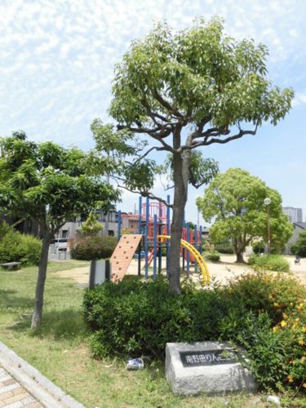周辺環境(南野田りんご公園 1169m)