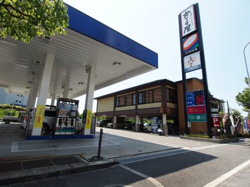 物件内観写真30　(かごの屋 泉北泉ヶ丘店 907m)