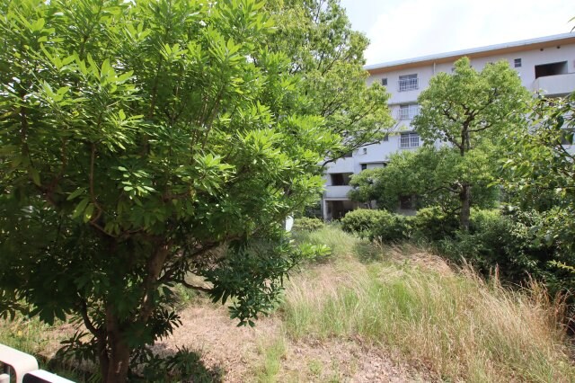 物件内観写真29　