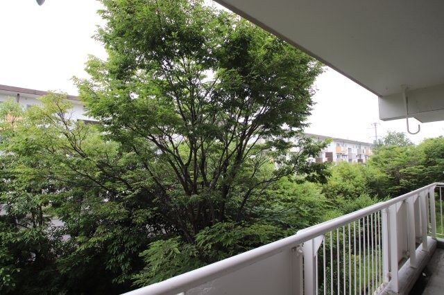 物件内観写真29　