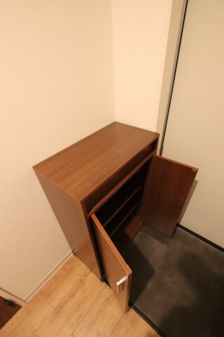 物件内観写真9　(シューズボックス)