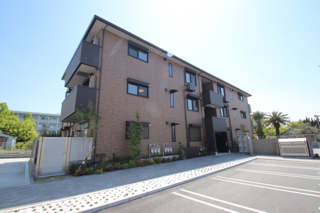 LAZOterrace