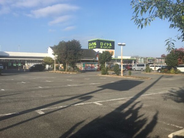 周辺環境(ロイヤルホームセンター堺店 974m)