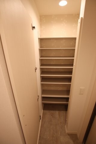 物件内観写真7　(シューズボックスインクローゼット)