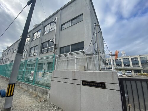 物件内観写真33　(富田林市立富田林小学校 697m)