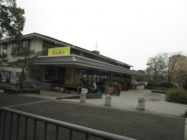 周辺環境(スカイマート藤沢台店 3523m)