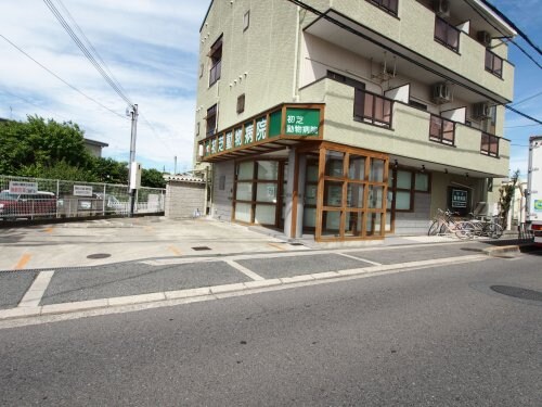 物件内観写真33　(初芝動物病院 926m)