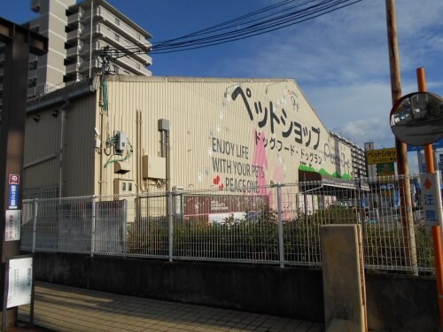 物件内観写真33　(ピースワン堺店 650m)