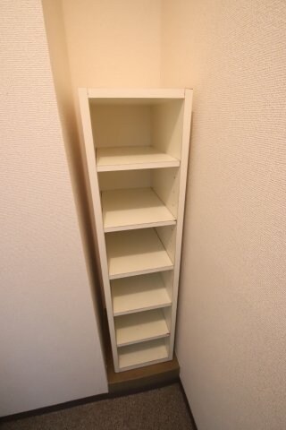 物件内観写真9　(シューズボックス)