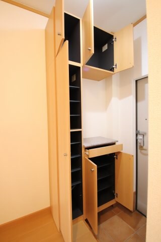 物件内観写真7　(シューズボックス)