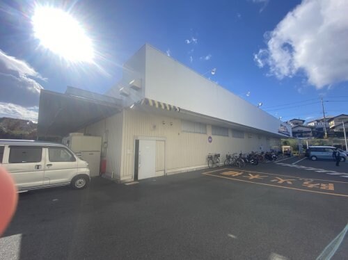 物件内観写真33　(サンディ 和泉観音寺店 2271m)