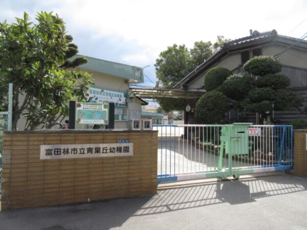 周辺環境(富田林市立幼稚園青葉丘幼稚園 1643m)