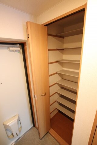 物件内観写真7　(シューズボックス)