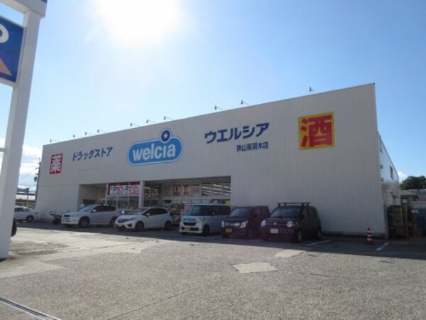 周辺環境(ウエルシア狭山茱萸木店 756m)