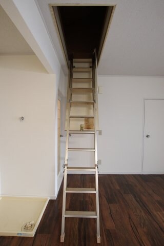 物件内観写真25　(屋根裏収納庫)