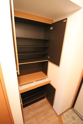 物件内観写真7　(シューズボックス)