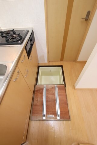 物件内観写真12　(床下収納庫)